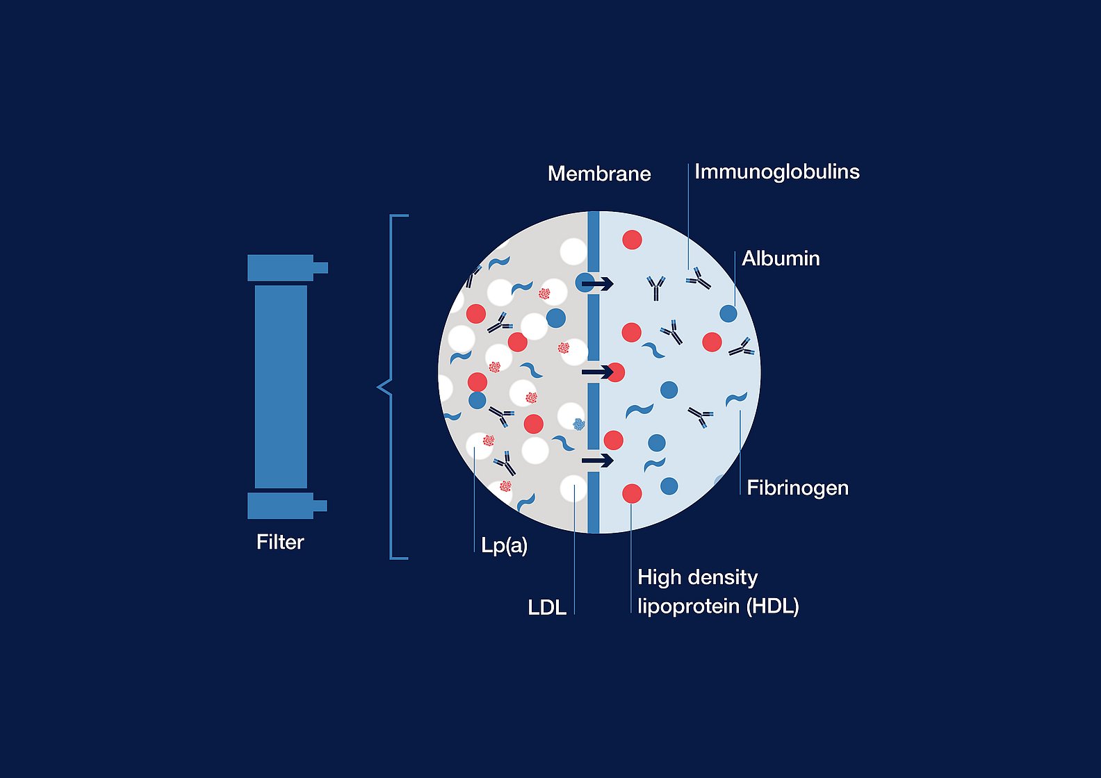 Afereza lipoprotein_MONET